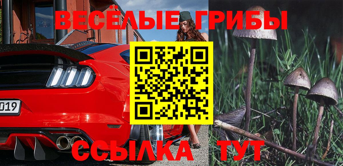 Псилоцибиновые грибы Cubensis Бирск