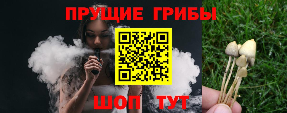 Псилоцибиновые грибы мицелий  Вход с VPN  Бирск  Псилоцибиновые грибы мицелий 